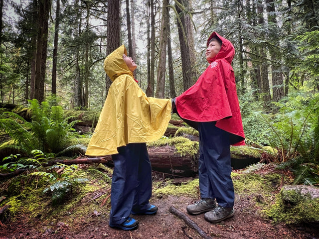 Summer Travel Essentials