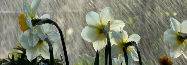 Introducing the Dynamic Hat Cape